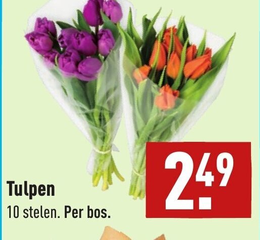 Tulpen aanbieding bij ALDI