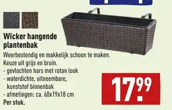 ALDI Wicker hangende plantenbak aanbieding