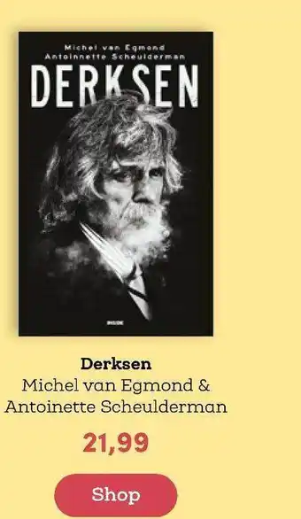 BookSpot Derksen - michel van egmond antoinette scheulderman aanbieding