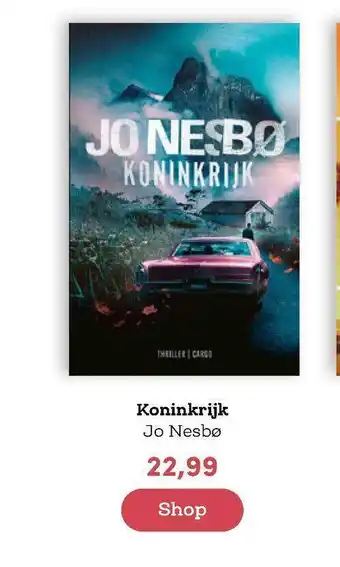 BookSpot Koninkrijk - jo nesbø aanbieding