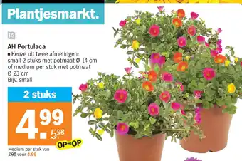 Albert Heijn AH Portulaca aanbieding