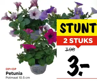 Vomar Voordeelmarkt Petunia aanbieding