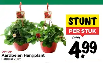 Vomar Voordeelmarkt Aardbeien hangplant aanbieding