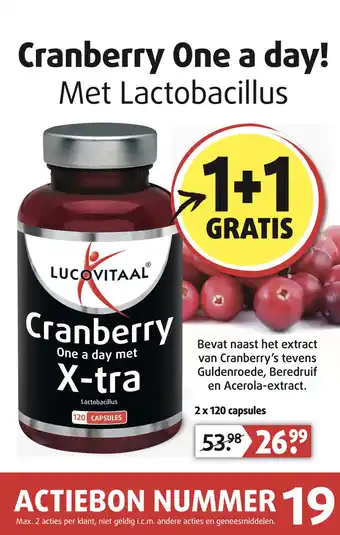 Lucovitaal Cranberry One a day aanbieding