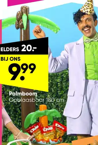 Big Bazar Palmboom aanbieding