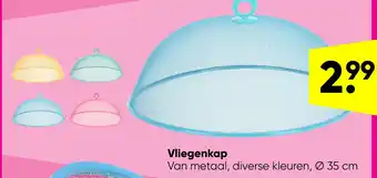 Big Bazar Vliegenkap aanbieding