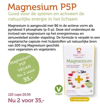 De Rode Pilaren Magnesium p5p aanbieding