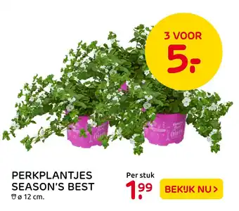 Praxis Perkplantjes season's best aanbieding