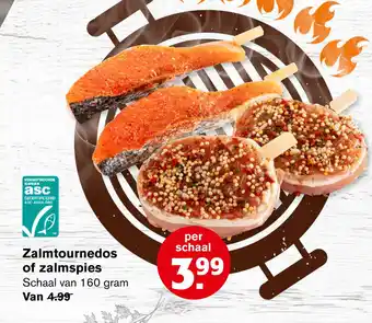 Hoogvliet Zalmtournedos of zalmspies aanbieding