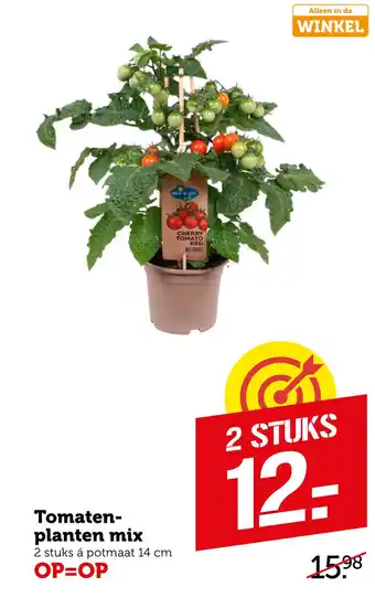 Coop Tomatenplanten mix aanbieding