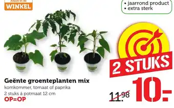 CoopCompact Geente groenteplanten mix aanbieding