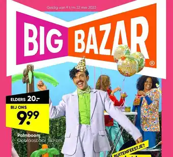 Big Bazar Palmboom aanbieding