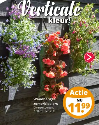 GroenRijk Wandhar zomerbloeiers aanbieding