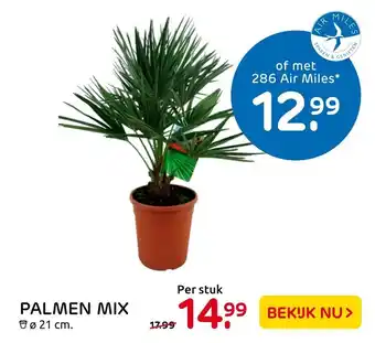 Praxis Palmen mix aanbieding