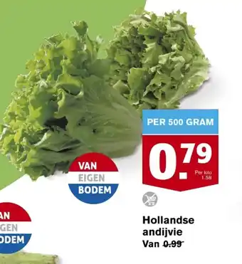 Hoogvliet Hollandse andijvie 500 gran aanbieding