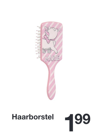 Zeeman Haarborstel aanbieding