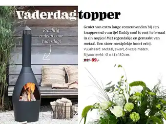 Intratuin Vuurhaard aanbieding