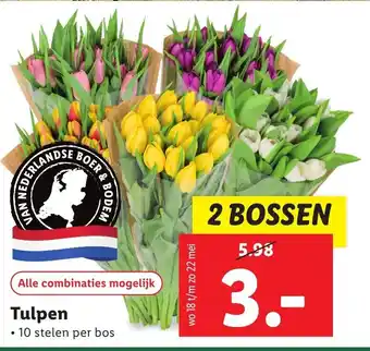 Lidl Tulpen aanbieding