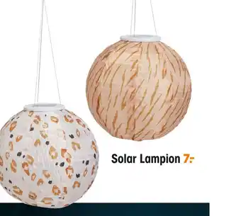 Kwantum Solar Lampion aanbieding