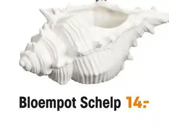 Kwantum Bloempot Schelp aanbieding