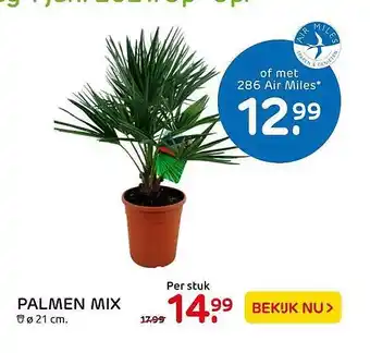 Praxis Palmen Mix ø 21 Cm aanbieding