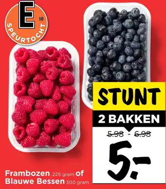 Vomar Voordeelmarkt Frambozen of blauwe bessen aanbieding