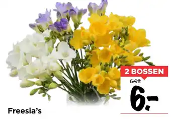 Vomar Voordeelmarkt Freesia's aanbieding