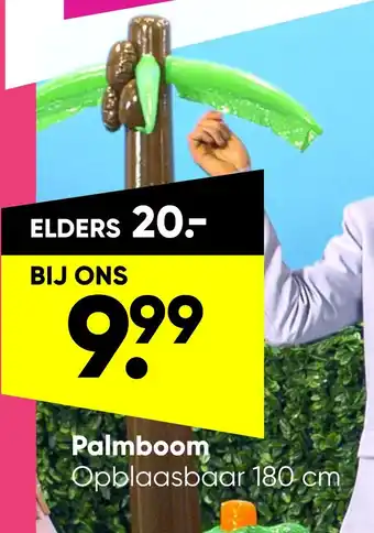 Big Bazar Palmboom aanbieding