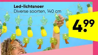 Big Bazar Led-lichtsnoer aanbieding