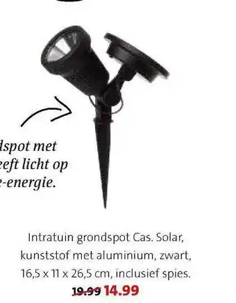 Intratuin Intratuin grondspot cas. solar aanbieding