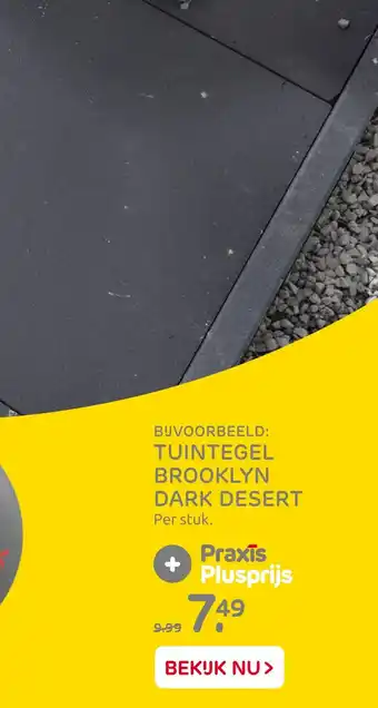 Praxis Tuintegel brooklyn dark desert aanbieding