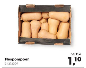 HANOS Flespompoen aanbieding