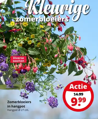 GroenRijk Zomerbloeiers in hangpot aanbieding