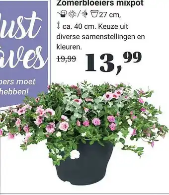 Tuincentrum Osdorp Zomerbloeiers Mixpot aanbieding