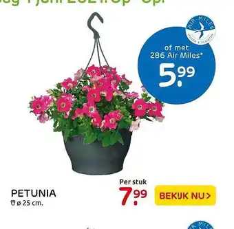 Praxis Petunia ø 25 Cm aanbieding