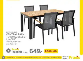 Praxis Central park tuinmeubelset limoux aanbieding