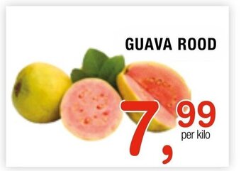 Amazing Oriëntal Guava Rood aanbieding