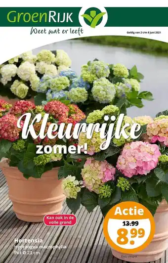 GroenRijk Hortensia Hydrange Macrophylla 23 cm aanbieding