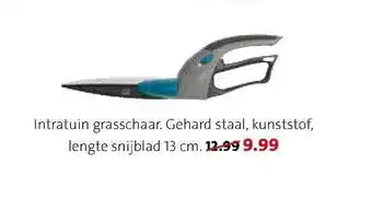 Intratuin Intratuin Grasschaar aanbieding