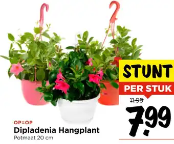 Vomar Voordeelmarkt Dipladenia Hangplant aanbieding