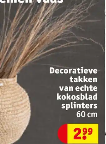 Kruidvat Decoratieve takken van echte kokosblad splinters aanbieding