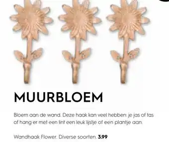 Blokker MUURBLOEM aanbieding