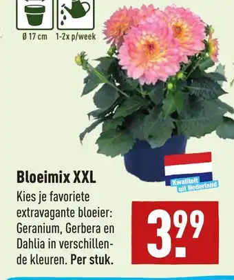 ALDI Bloeimix XXL aanbieding