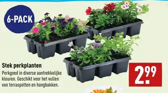 ALDI Stek perkplanten aanbieding