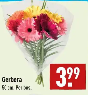 ALDI Gerbera 50cm aanbieding