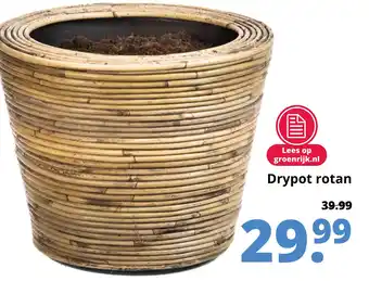 GroenRijk Drypot rotan aanbieding