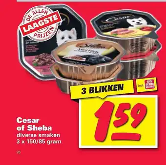 Nettorama Cesar Of Sheba aanbieding