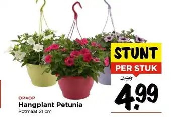 Vomar Voordeelmarkt Hangplant Petunia aanbieding