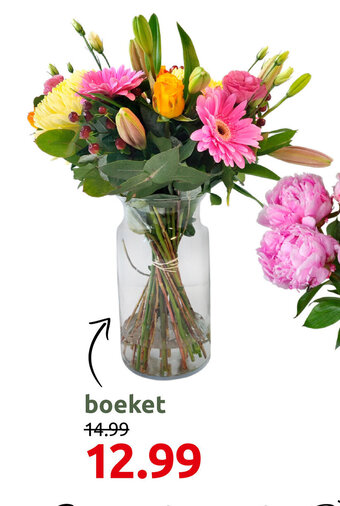 Deka Tuin Boeket aanbieding