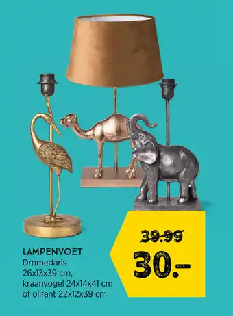 Xenos Lampenvoet aanbieding